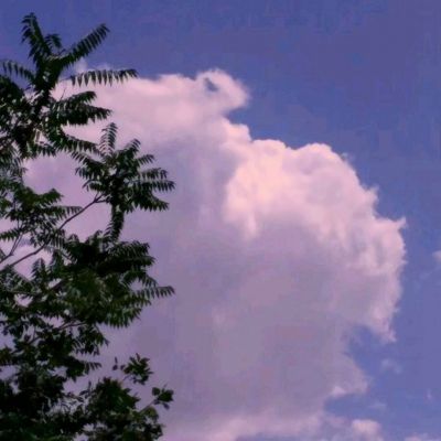 理想一季度财报:i6“走量”挤压利润,L9能否成为“救火队长”?